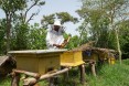 Practical training proves transformational. Abebaw Melesew used the training he received from USAID to turn around his beekeeping business. He is now a model farmer, training others to succeed in honey production.