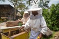 Abebaw Melesew and his wife Abay Desalegn work on their hives. Abebaw used the training he received from USAID to turn around his beekeeping business. He is now a model farmer, training others to succeed in honey production.