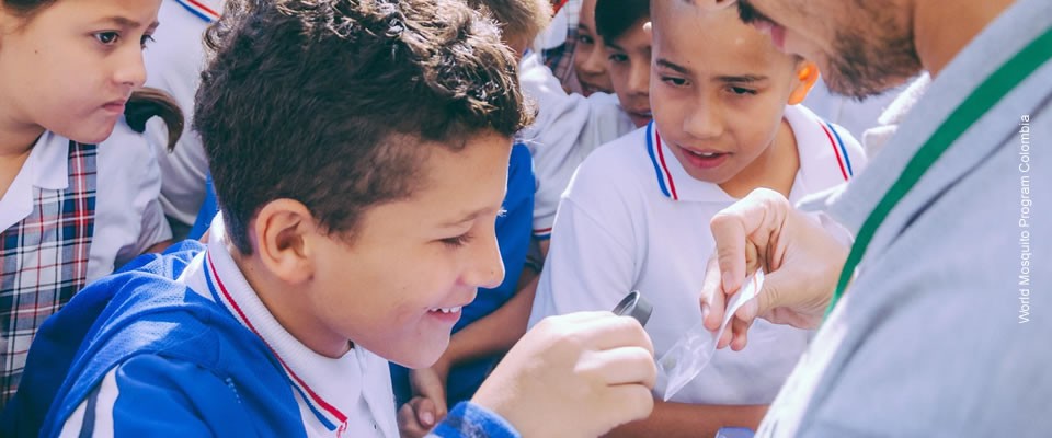 Photograph of school students in Paris, Colombia, participating in growing and releasing their own Wolbachia mosquitoes as part of a science project. Photo credit: World Mosquito Program Colombia