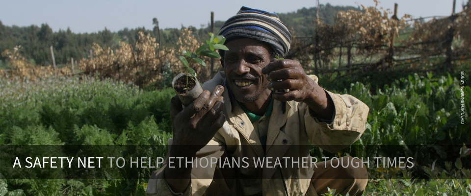 A national safety net program in Ethiopia is helping 8 million people weather tough times and adopt new productive livelihood activities for the future.
