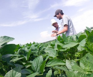 Kubanychbek Alymbekov (left) shows his soybean field to the buyer, Stephen Maier of Oasis Agro.
