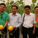 Ông Nguyễn Văn Dương, Chủ tịch UBND tỉnh Đồng Tháp (đứng thứ 2 từ bên trái), thăm trang trại dưa leo của công ty Ecofarm
