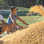 Kids enjoy playing with new maize yield that is twice as much as last year