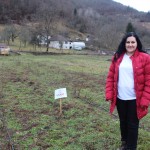 Sanja Mrsevic in her raspberry fields in Rudo, Bosnia and Herzegovina.