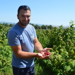 In Kosovo Farming is a bountiful business
