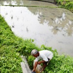 Filipino Farmers Triumph Over Drought