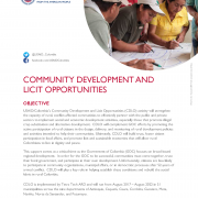 Community Development and Licit Opportunities (CDLO)