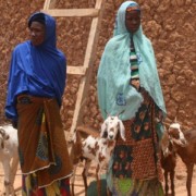 Nigerien women show off the goats they care for through habbanayé, a traditional livestock sharing practice.