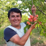 USAID Raises the Profile of Central Asian Horticulture Exporters