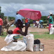Food distribution in Mwenezi