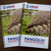 USAID Unveils Field Guide to Combat Pangolin Trafficking