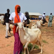 A Nigerien woman shows off a sheep she raised and sold