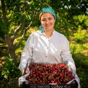 Over 120 horticulture exporters from Kazakhstan, Kyrgyzstan, Tajikistan, Turkmenistan, and Uzbekistan are listed in the catalogue.