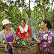 USAID Supporting Women’s Livelihood Bond to Benefit 385,000 Women in Southeast Asia