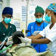 Image of Ethiopian medical students training