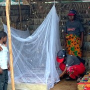 Le million de nouvelles moustiquaires remplacera les moustiquaires abimées et garantira également la protection des nouveaux foyers.