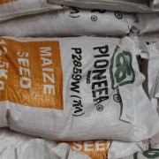 A bag of DuPont Pioneer maize seed ready for planting.