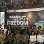 The release of 100th Orang Utan