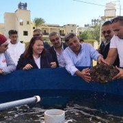 USAID/Egypt Deputy Mission Director Rebecca Latorraca visits a giant clam farm in Marsa Alam with renowned marine biologist Dr. Mahmoud Hanafy and HEPCA representatives. Restoring the native giant clam population is critical to coral reef.