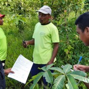 Achieving the Rainforest Alliance Certification requires compliance with numerous standards 