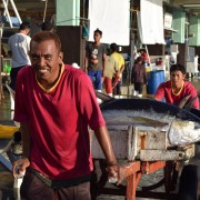 USAID Partners with Philippine Seafood Industry to Roll Out Seafood Traceability System