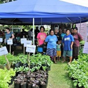 The home gardeners of Yap sold fresh produce at the World Food Day and Yap Day celebrations.