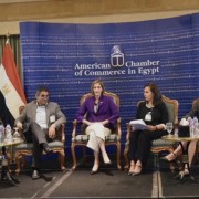 USAID/Egypt Mission Director Sherry F. Carlin and the mission's technical team leaders speak with AmChamEgypt about USAID's strategic partnership with Egypt.
