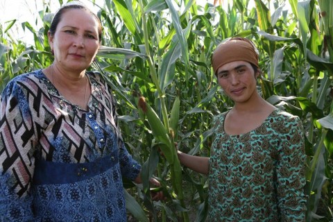 Tashabbuskor Norbekova (left) with Chorieva (right), Head of Farm in a field