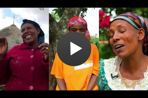 Three Ethiopian Women Farm Sweet Potatoes with One Purpose: Saving Lives