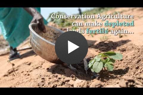 Yaajeende Conservation Agriculture
