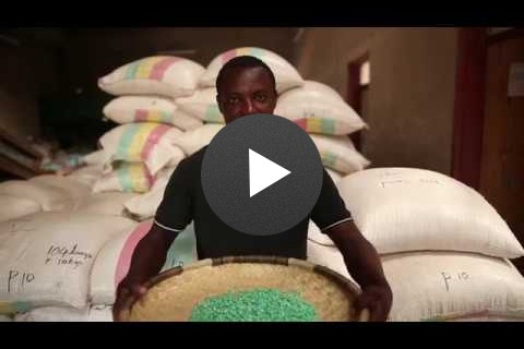 Feed the Future Southern Africa Seed Trade Project - by USAID