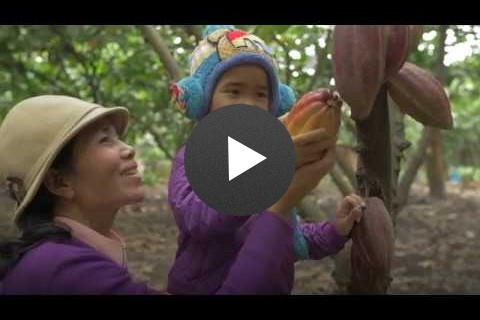 The Chocolate Makers: From Bean to Bar in Vietnam