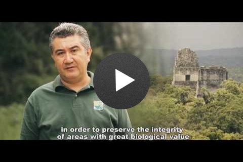 10 Años del Canje de Deuda por Naturaleza en Guatemala, 2006-2016