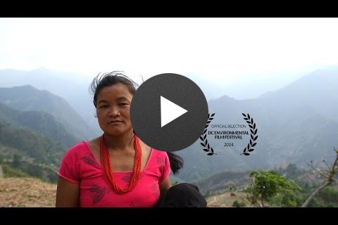 Scaling the Mountain: Protecting Forests for Families in Nepal