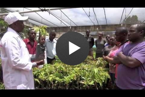 Empowering Farmers to Achieve Food Security