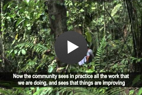 Community Forestry Oversight - Perú Bosques
