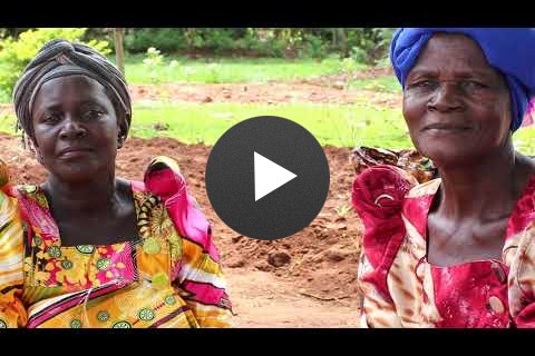 USAID and Send a Cow: Agriculture for women with disabilities