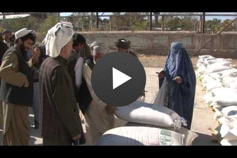 Afghanistan Widow Farmers