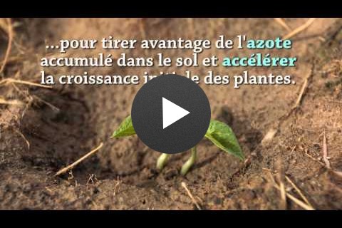 Yaajeende Agriculture de Conservation (Francais)