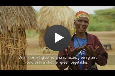 Selinas Green Desert: Building Resilience in East Africa