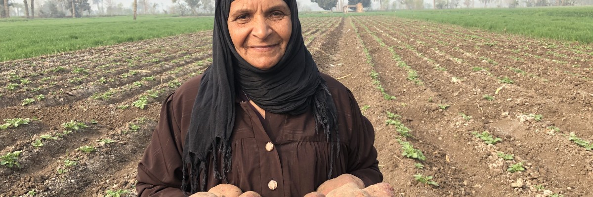 Faiza, a potato farmer from Beni Suef, Egypt, displays her export-quality potatoes. 