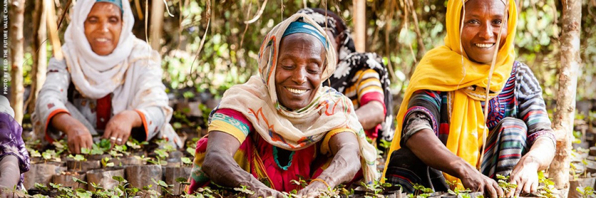 Image of women coffee farmers in Ethiopia