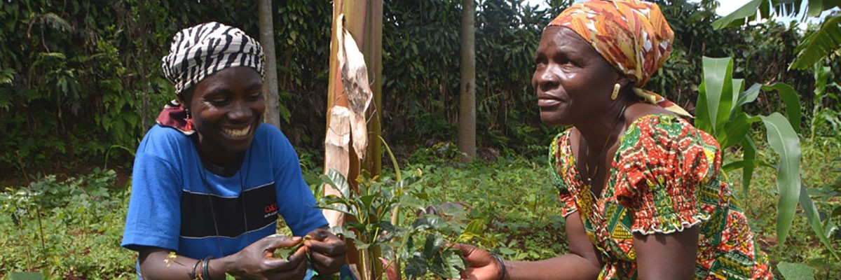 Jeannine Balagizi, left, and fellow farmer Beatrice Cibalonza M’Nyabahara grow beans among their coffee trees.
