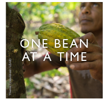 One Bean at a Time - click to read. Photos by Thomas Cristofoletti for USAID